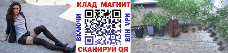 Продажа наркотиков Новороссийск Гашиш Cocaine Мефедрон Конопля