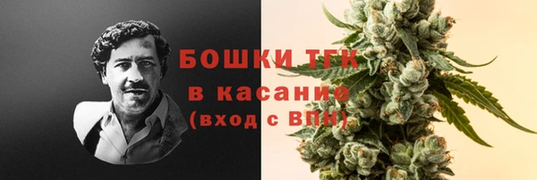 PSILOCYBIN Алзамай