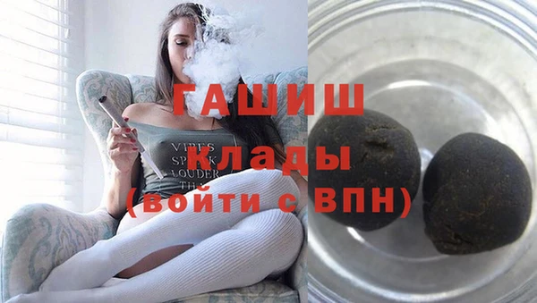 PSILOCYBIN Алзамай
