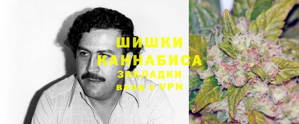 PSILOCYBIN Алзамай