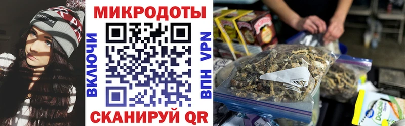 Псилоцибиновые грибы Cubensis  наркошоп  Новороссийск 