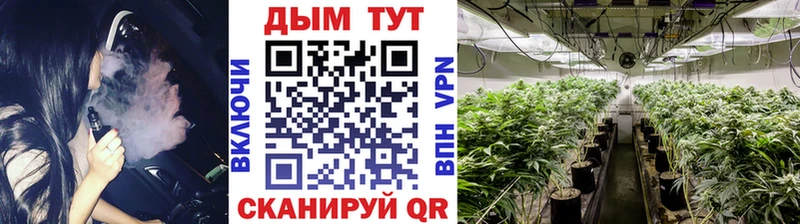 цена наркотик  гидра ТОР  Бошки Шишки SATIVA & INDICA  Новороссийск 